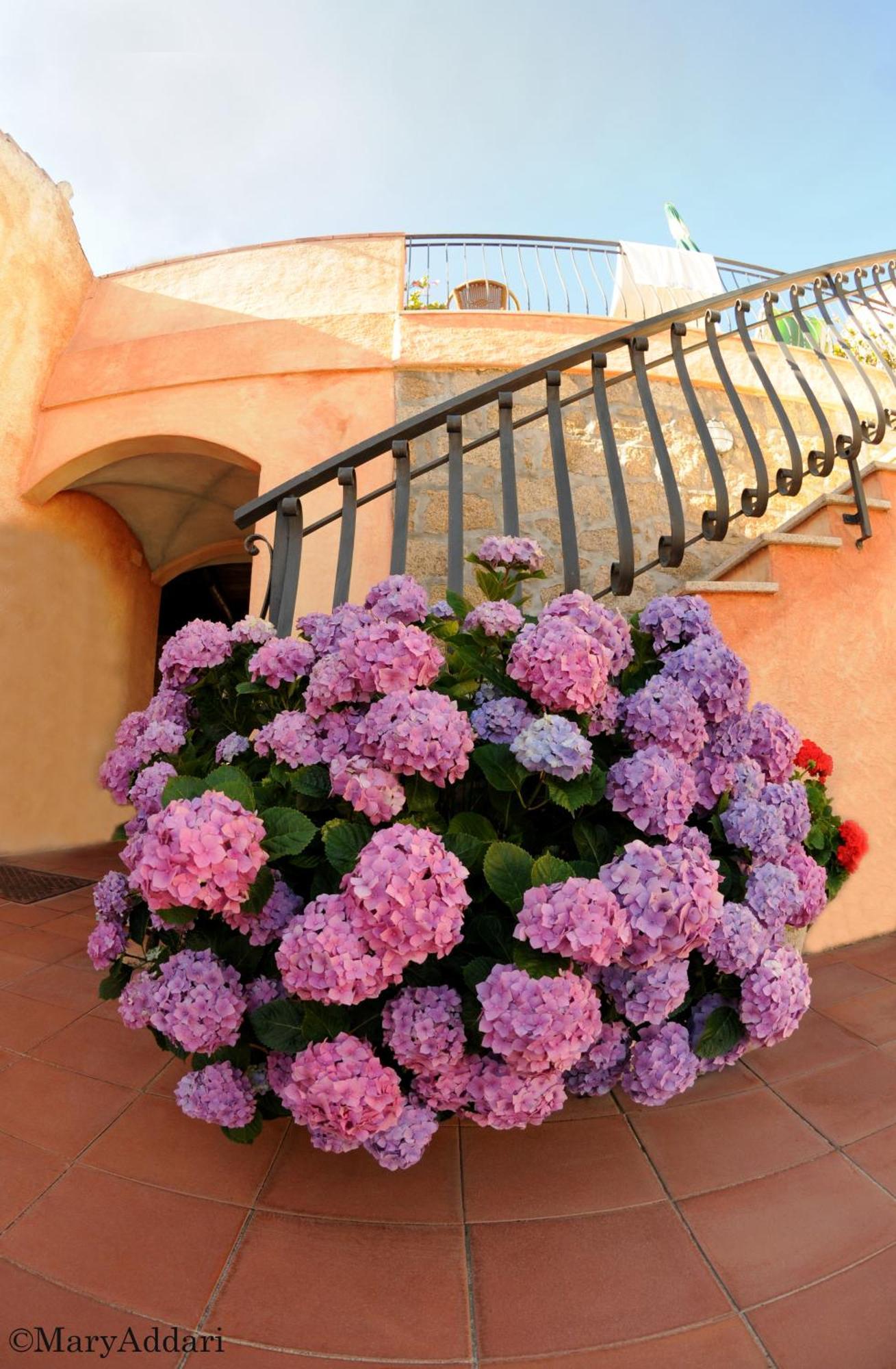Hotel Villa Gemella Baja Cerdeña Exterior foto